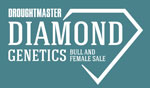 Diamond Genetics Bull and Female Sale
