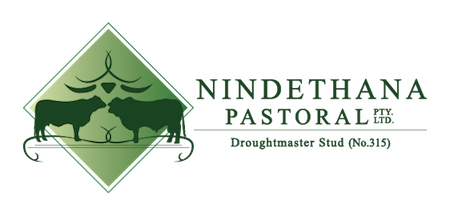 Nindethana Pastoral Co.