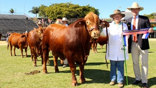 Bryvonlea Breeders Group Bryvonlea Breeders Group