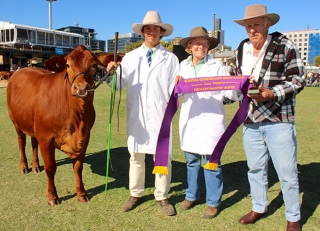 Fairibel at the Ekka 2015 Fairibel at the Ekka 2015