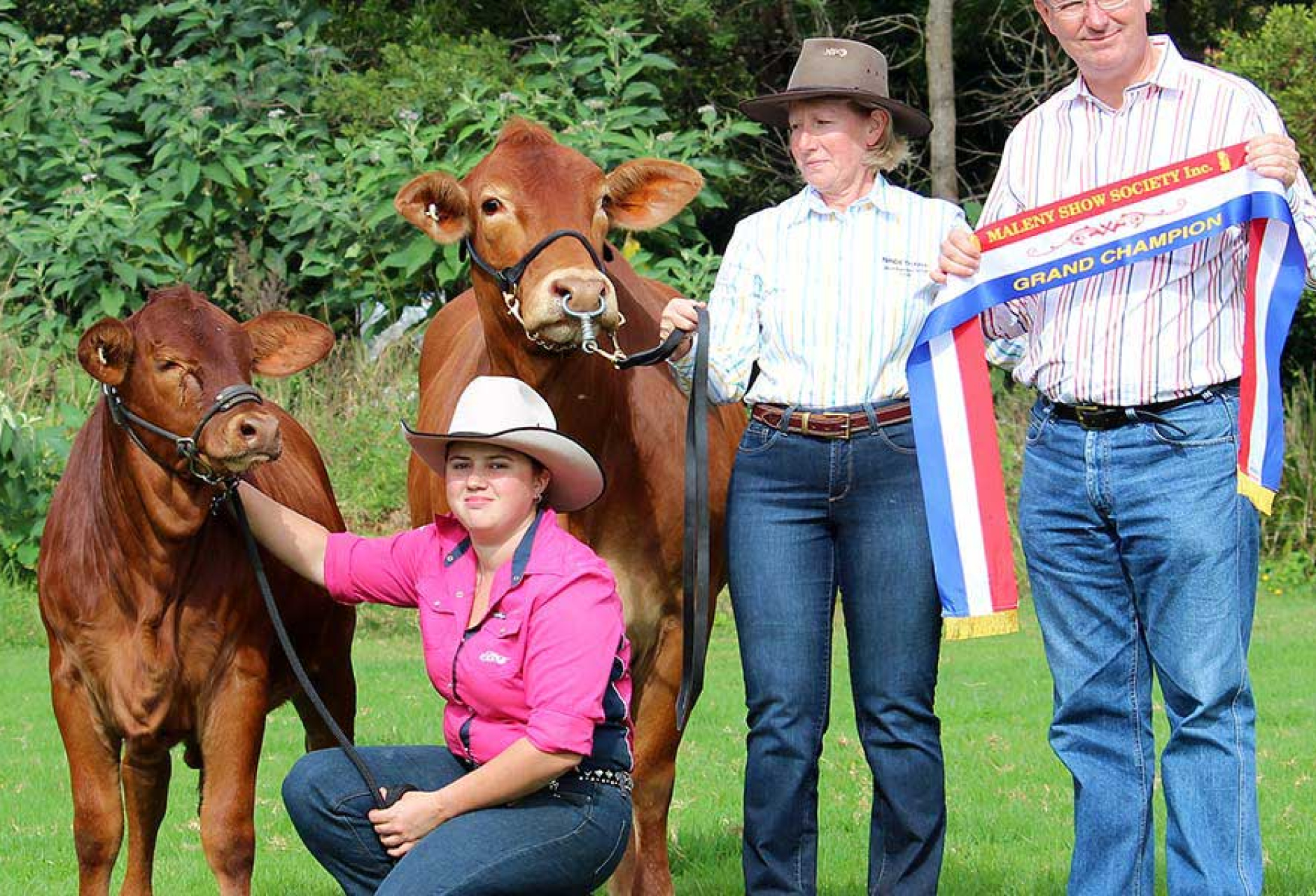 Nindethana Daisibel & calf Fairibel – Maleny Show, 2014